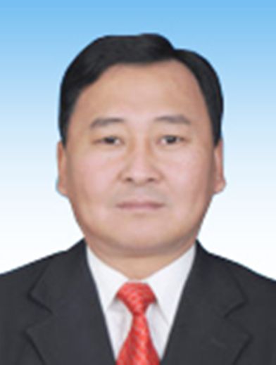 賈林·托太依 賈林·托太依