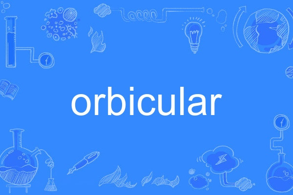 orbicular orbicular