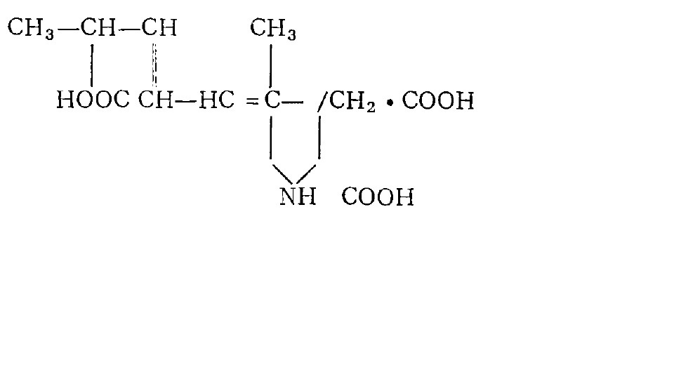 軟骨藻酸