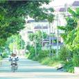 寶裕村 寶裕村