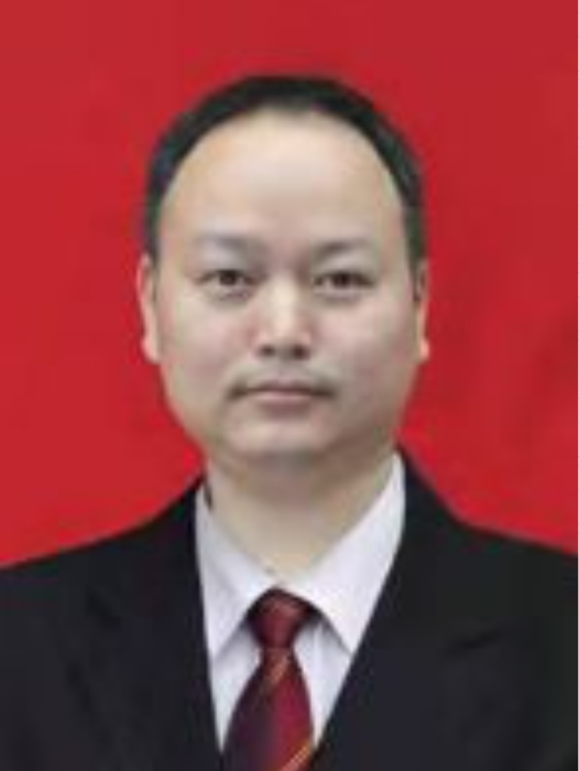 王震(湖南省懷化市中方縣發展和改革局黨組成員、副局長) 王震(湖南省懷化市中方縣發展和改革局黨組成員、副局長)