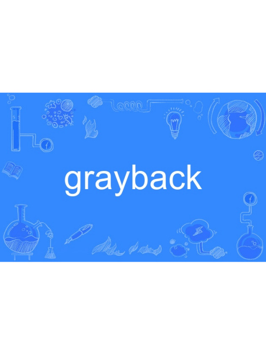 grayback grayback