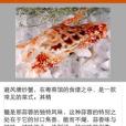 優易商戶 優易商戶