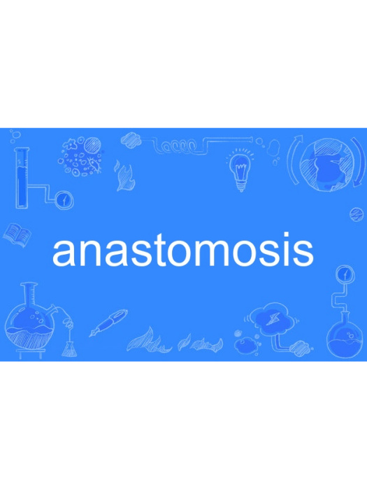 anastomosis anastomosis