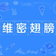 維密翅膀 維密翅膀