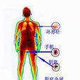人體運毒 人體運毒