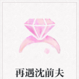 再遇沈前夫 再遇沈前夫