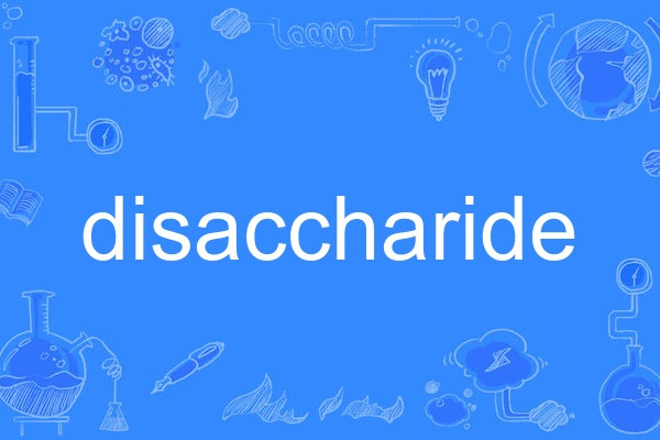 disaccharide disaccharide