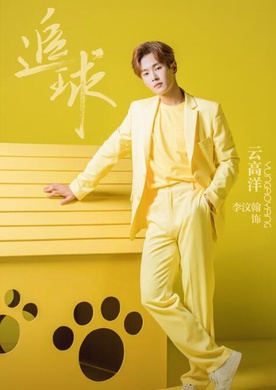 追球(2019年范世錡、卜冠今主演的網劇)