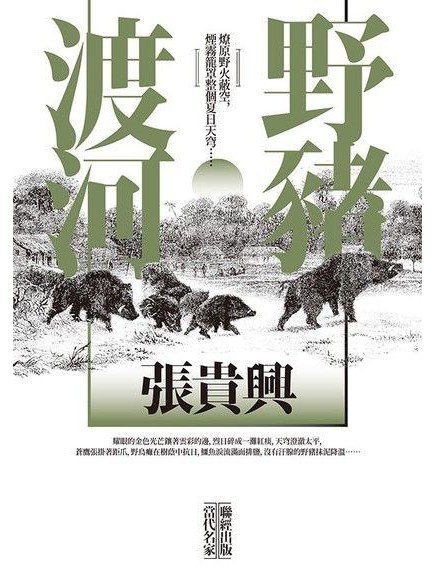 野豬渡河(2018年聯經出版公司出版的圖書) 野豬渡河(2018年聯經出版公司出版的圖書)