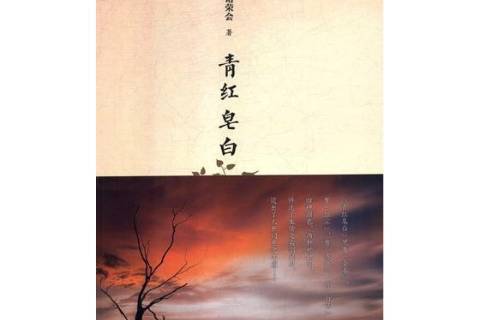 青紅皂白(中國當代散文集)