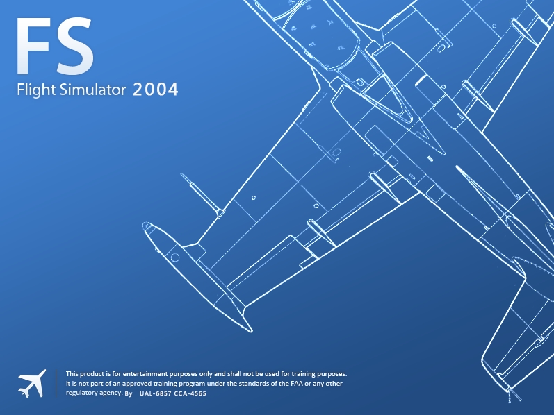 模擬飛行2004