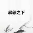 暴怒之下 暴怒之下
