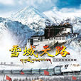 雪域天路(2010年楊韜執導電視劇)