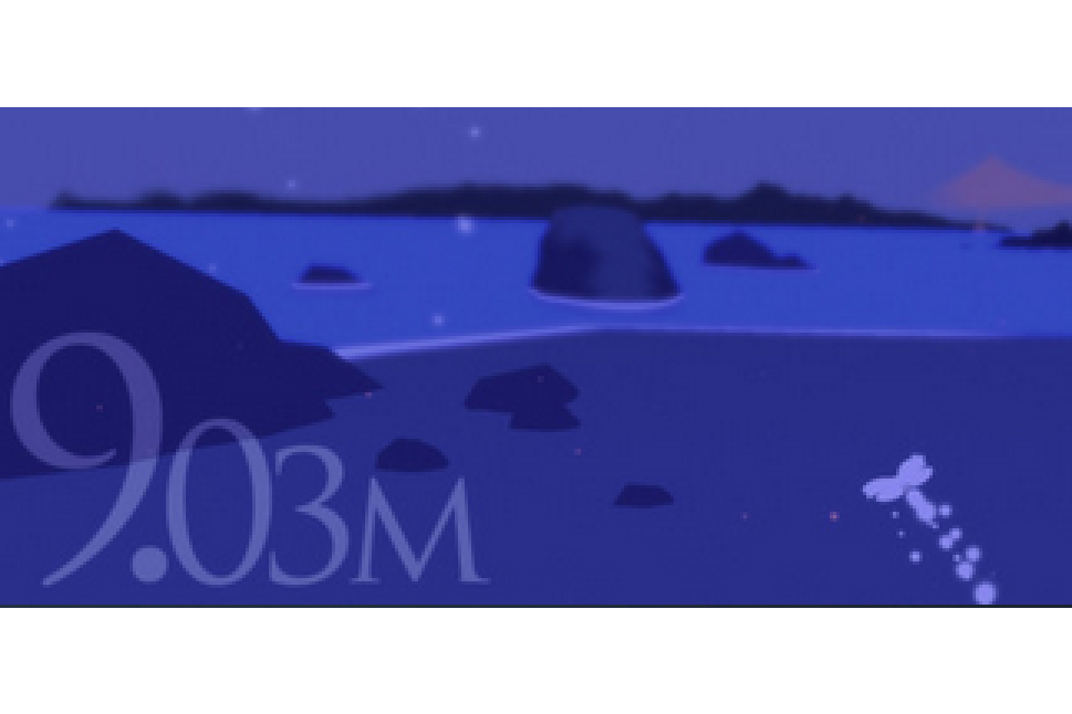 9.03m 9.03m