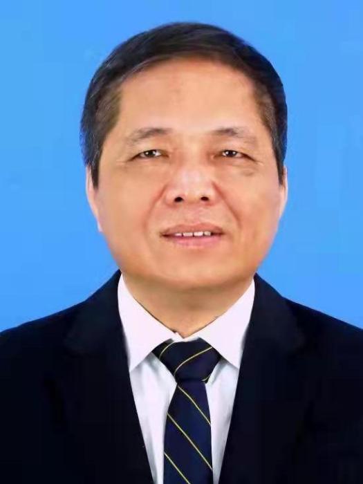劉金保(民盟廣州市委副主委) 劉金保(民盟廣州市委副主委)