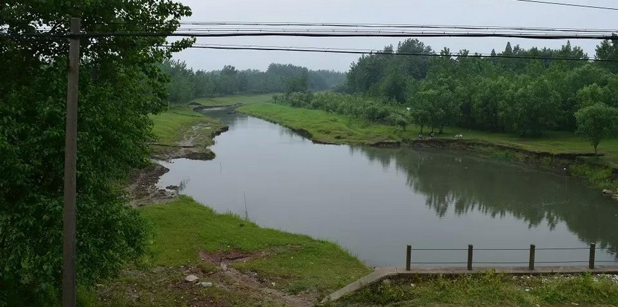 調弦河石首市調弦口下河道