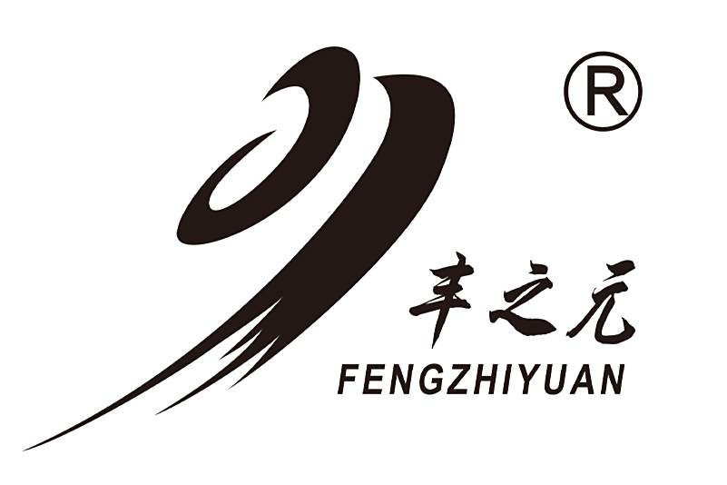 豐之元 豐之元