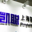 上海凱聰電子科技有限公司(凱聰)