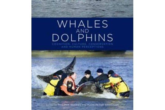 Whales and Dolphins Whales and Dolphins