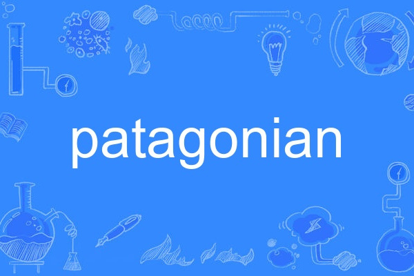 patagonian patagonian