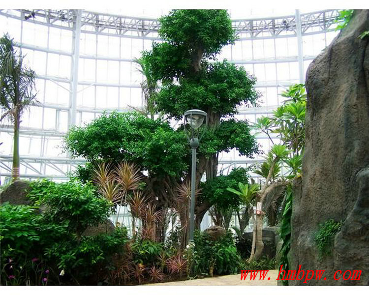 鄭州植物園之熱帶溫室館