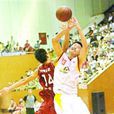 廣州六穗職業籃球隊
