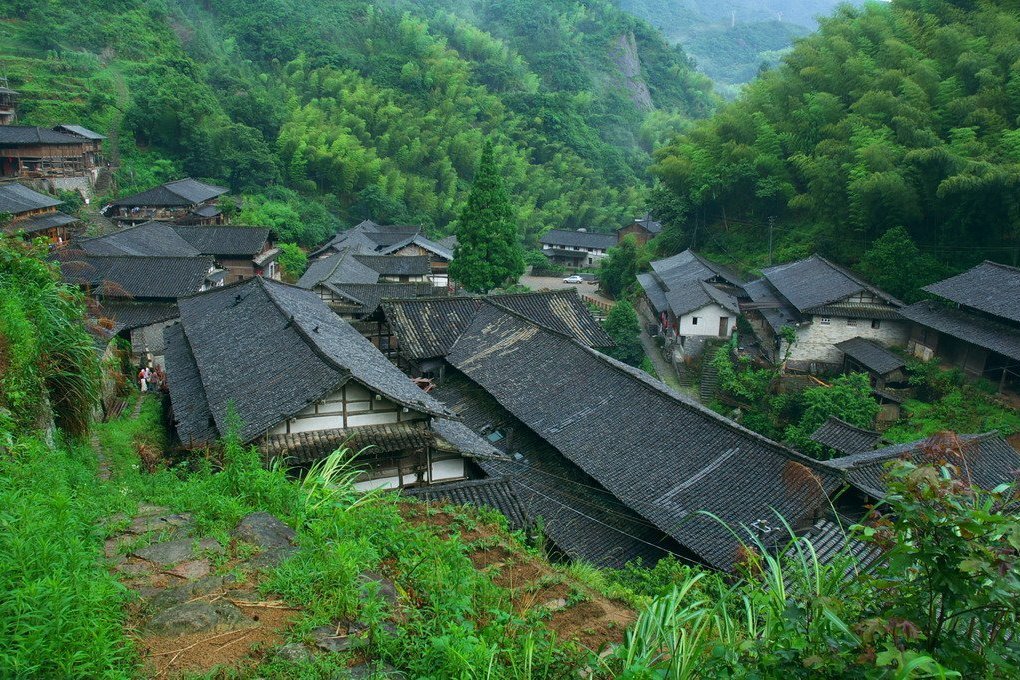 老虎坳村 老虎坳村