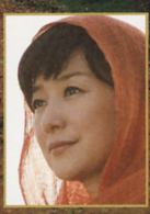 不沉的太陽(日本2009年若松節朗導演電影)
