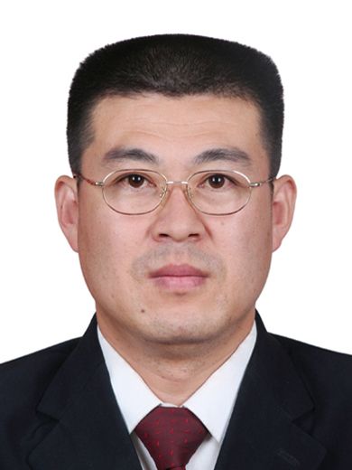王延偉(陝西省延安市能源發展中心主任) 王延偉(陝西省延安市能源發展中心主任)
