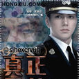 真正元兇 真正元兇