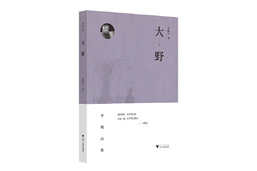 大野(2024年浙江大學出版社出版的圖書) 大野(2024年浙江大學出版社出版的圖書)