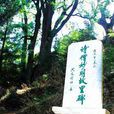 麗江阿喜 麗江阿喜