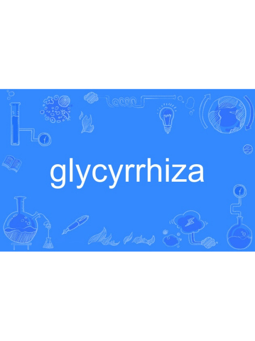 glycyrrhiza glycyrrhiza