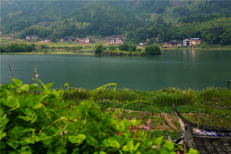 大喜村(福建省永泰縣嵩口鎮大喜村) 大喜村(福建省永泰縣嵩口鎮大喜村)
