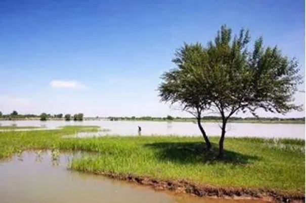 雁沙湖 雁沙湖