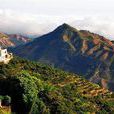 鳳凰山(雲南省昆明市鳳凰山) 鳳凰山(雲南省昆明市鳳凰山)