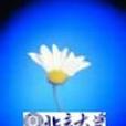 憲法人類學 憲法人類學