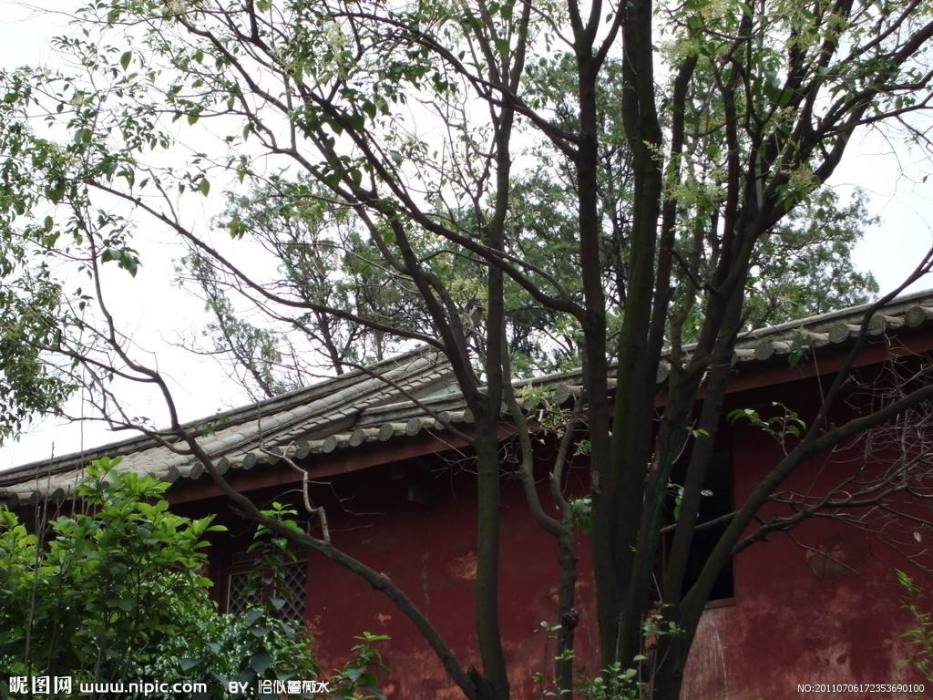 隆覺寺 隆覺寺