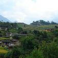 圓寶山村 圓寶山村
