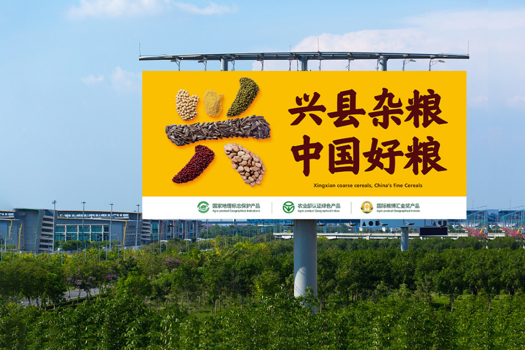 興縣雜糧 興縣雜糧