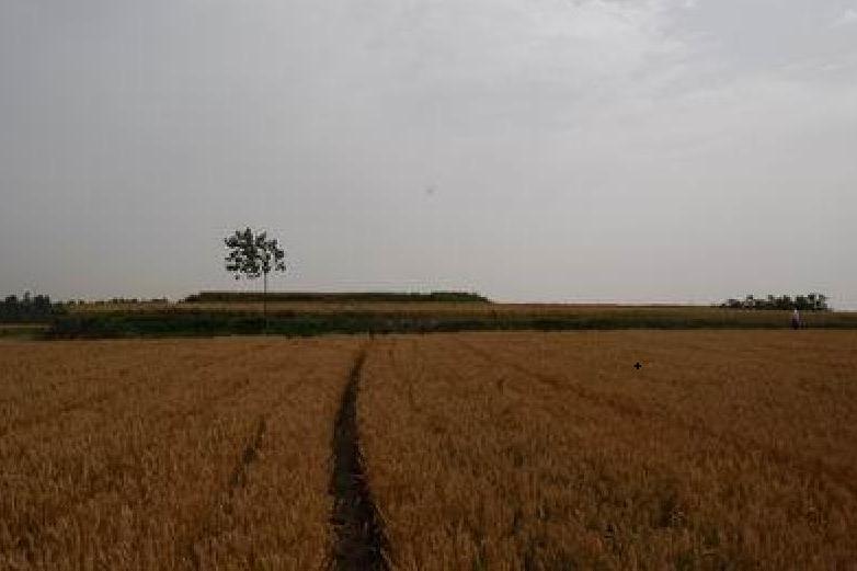 涼馬台(河北臨漳縣涼馬台) 涼馬台(河北臨漳縣涼馬台)