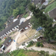 曲溪村(福建漳州雲霄縣下河鄉下轄村)