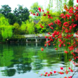 花園鄉(河南省民權縣花園鄉)