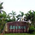 紅樹林海濱生態公園 紅樹林海濱生態公園