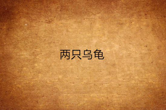 兩隻烏龜 兩隻烏龜