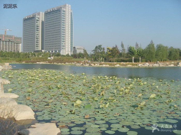 博大公園 博大公園