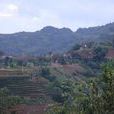 乾塘村(雲南省普洱思茅區六順鄉乾塘寨村) 乾塘村(雲南省普洱思茅區六順鄉乾塘寨村)