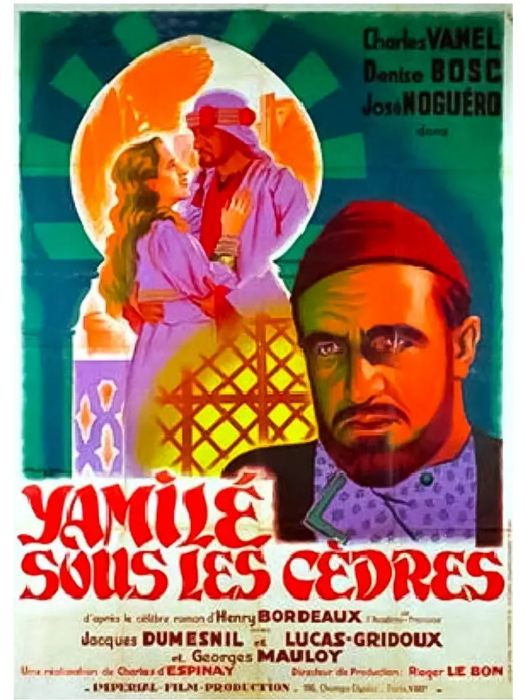 Yamilé sous les cèdres Yamilé sous les cèdres