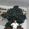 陳玉芳(中國玉雕藝術大師)